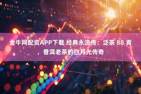 金牛网配资APP下载 经典永流传：泛茶 88 青，普洱老茶的白月光传奇