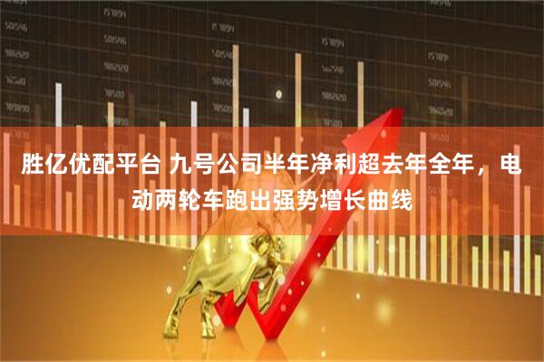 胜亿优配平台 九号公司半年净利超去年全年，电动两轮车跑出强势增长曲线